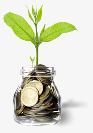 Our Strong Foundation - Ahorros