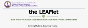 Your Online Source For Leaf News - New Ymca