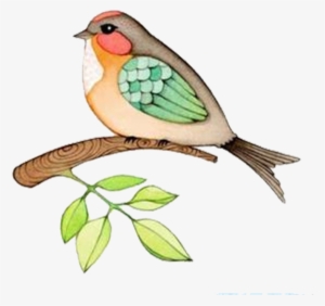 Washington State Bird Drawing - Kuş Illüstrasyon