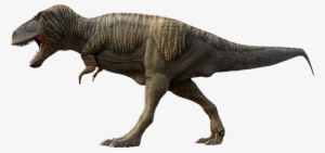 T - Rex - Tyrannosaurus Rex Fell