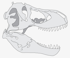 T Rex Teeth Drawing - T Rex Skull Simple Drawing
