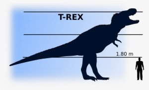 Enigma de madeira T-Rex Skelet PNG transparente - StickPNG