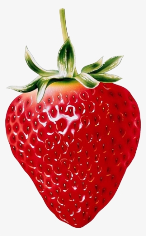 Berry Vector Acai - Strawberry Clipart Transparent Background