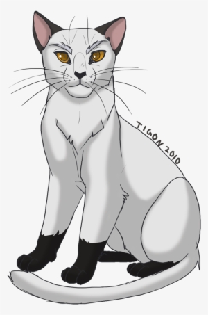 Blackstar By Tigon - Warrior Cats Shadowclan Leader