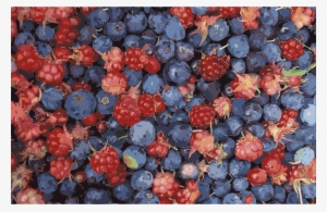 This Free Icons Png Design Of Alaska Wild Berries