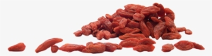Goji Berries Are Small Orange To Red Fruit