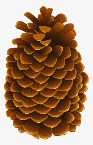 pinecone png clip art image - conifer cone