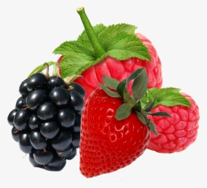 Fresh Berries Blackberry Berry 75033