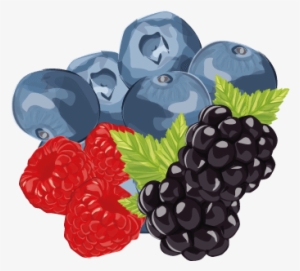 Berries - Food