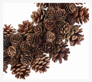 Ed On Air 14" Rustic Mixed Pinecone Wreath By Ellen