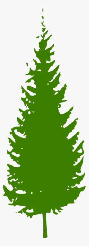 Pine Tree Pine Cone Clipart - Pine Tree Clip Art