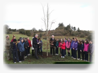Planted Our Tree To Mark The Inauguration Of Pope Francis - Social Group