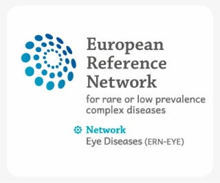 Logo Ern-eye - Ern European Reference Network