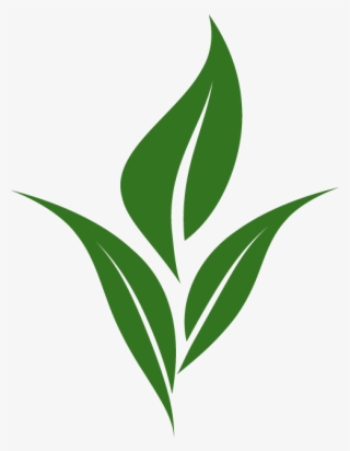 Tea Leaf Logo - Clip Art Tea Leaves