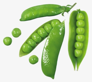 pea - green pea