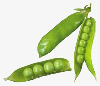pea png, download png image with transparent background, - snow peas png