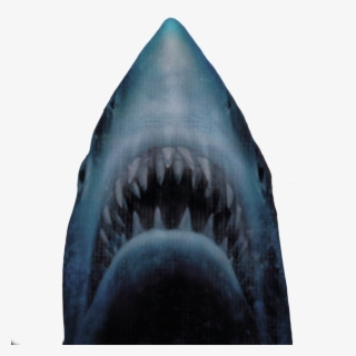 Jaws Png - Great White Sharks Jaws