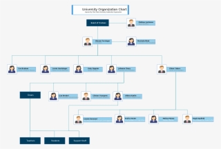 Creately On Twitter - Hierarchy University Organizational Structure