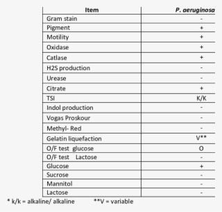 Biochemical Characters Of Pseudomonas Aeruginosa Isolated - P Aeruginosa Biochemical Tests