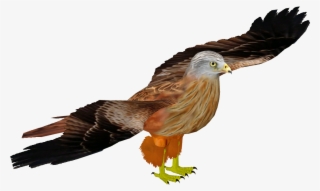 Red Kite 4 - Golden Eagle