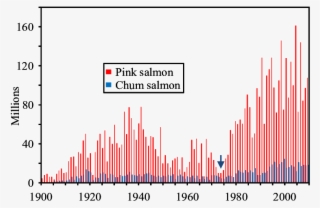 Commercial Harvest Of Alaska Pink And Chum Salmon, - Number