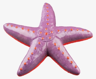 Glofish Ornaments Provides An Ideal Hiding Place For - Glofish 77304 Sea Star Ornament