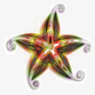 Starfish Download Presentation Library - Icon