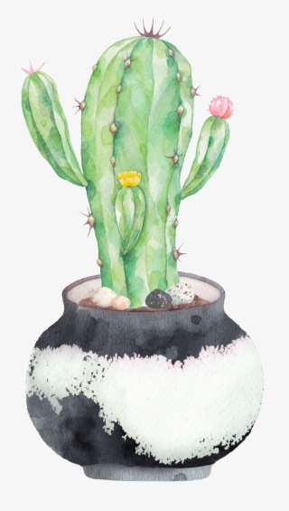 Hand Painted A Plate Of Cactus Png Transparent - Cactus Png