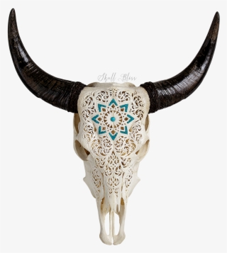 Carved Cow Skull // Xl Horns - Xl Horns