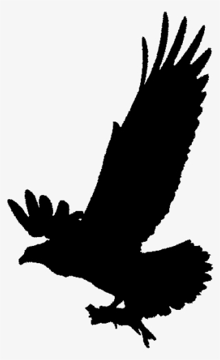 Love Birds Clipart Black And White - Osprey Clip Art Black And White
