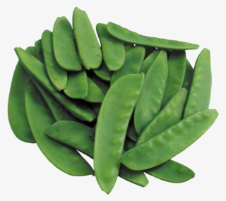 Green Beans - Mini Sementes Peas Vegetable Seeds