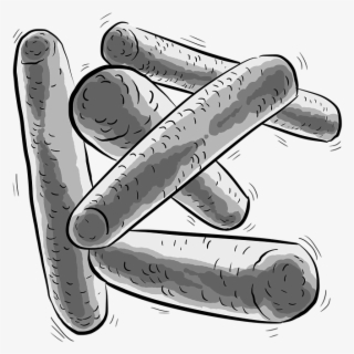 Bacteria, Bacillus, Lactobacillus, Bacterium, Grayscale - Gambar Protista Dan Monera