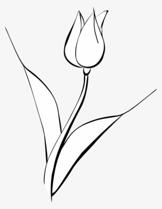 White Tulip Clip Art Noelle Nichols - Black And White Tulip Art