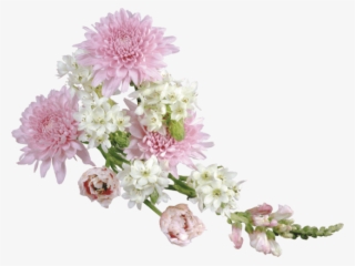 Free Png Transparent Soft Flower Arrangement Png Images - Flowers Clip Art Transparent