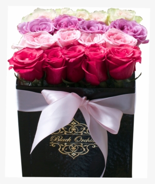 Patricia, Roses In The Box, Flowers In - Bouquet Roses Box Png