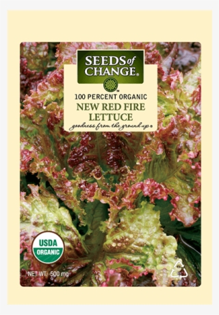Organic New Red Fire Lettuce Seeds - Leaf Lettuce New Red Fire