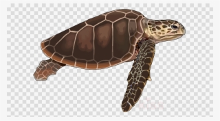 Download Tortugas De Mar Png Clipart Loggerhead Sea - Mickey Mouse Silhouette