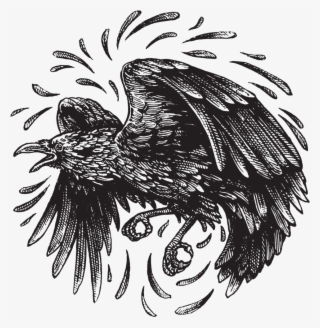 Redbubble-raven - Illustration
