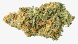 Skunk2 Medical Marijuana & Cannabis Dispensary Store - Doty Weed