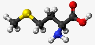 L-methionine Molecule Ball - Amine Compounds (chemical Compounds)
