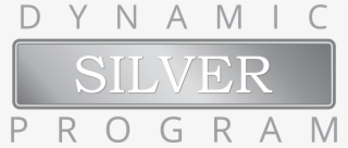 Logo Dynamic Silver Series - Audi
