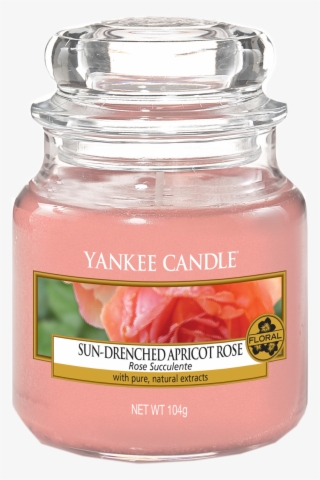 bougie petite jar yankee candle rose succulente - warm desert wind yankee candle