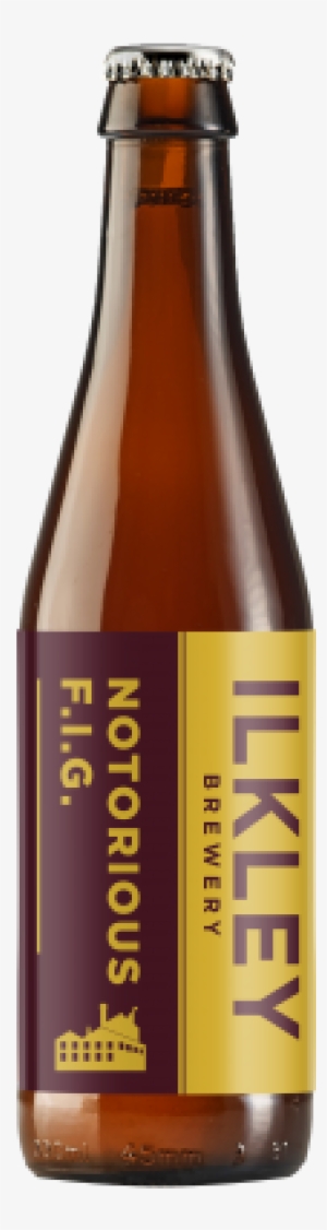 Notorious F - I - G - - Beer Bottle