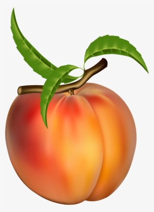 Fig Clipart Peach Tree - Peach Fruit Clip Art