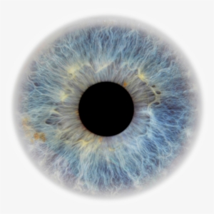 Eye Pupil Png Image Transparent - Blue Eyes Png