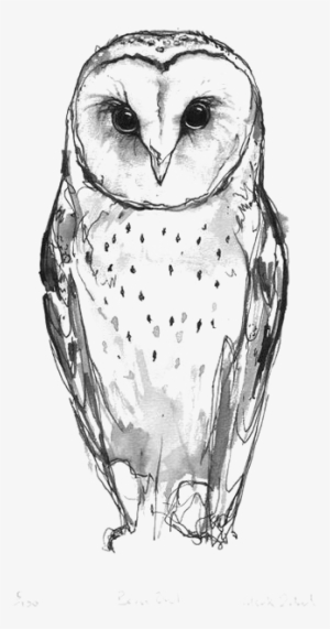 Australian Drawing Barn Owl - Small Barn Owl Tattoo