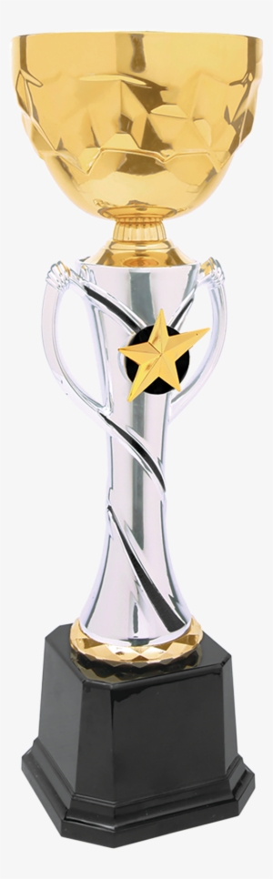 Silver & Gold Metal Cup Trophy - Trophy