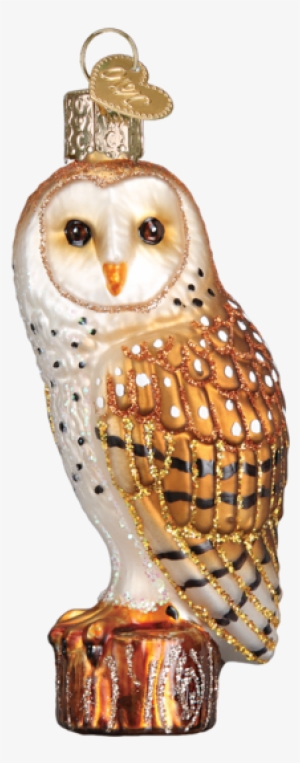 Barn Owl Ornament - Minnesota Golden Gophers Diploma Ornament, Multi