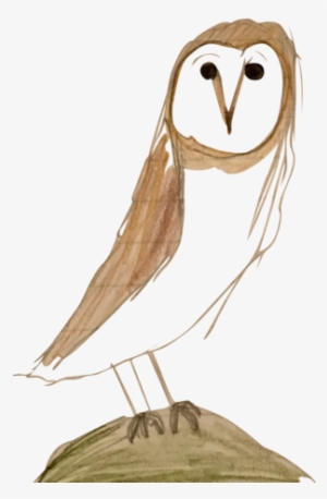 A Depiction Of My Favorite Animal, The Owl - Barn Owl