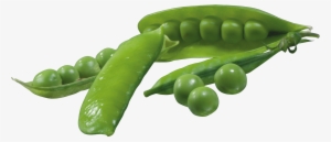 Pea Png - Vegetables Png